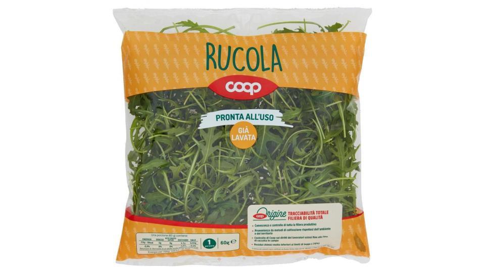 Rucola