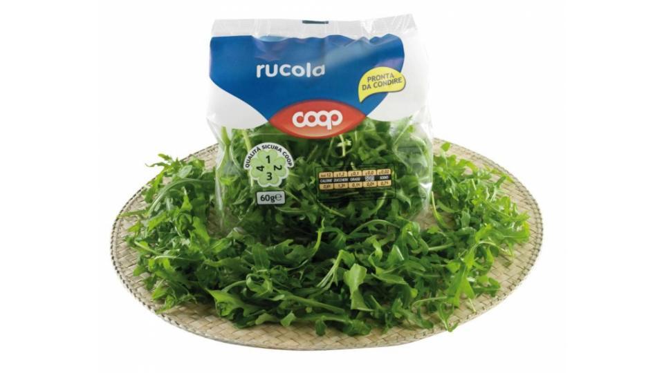 Rucola