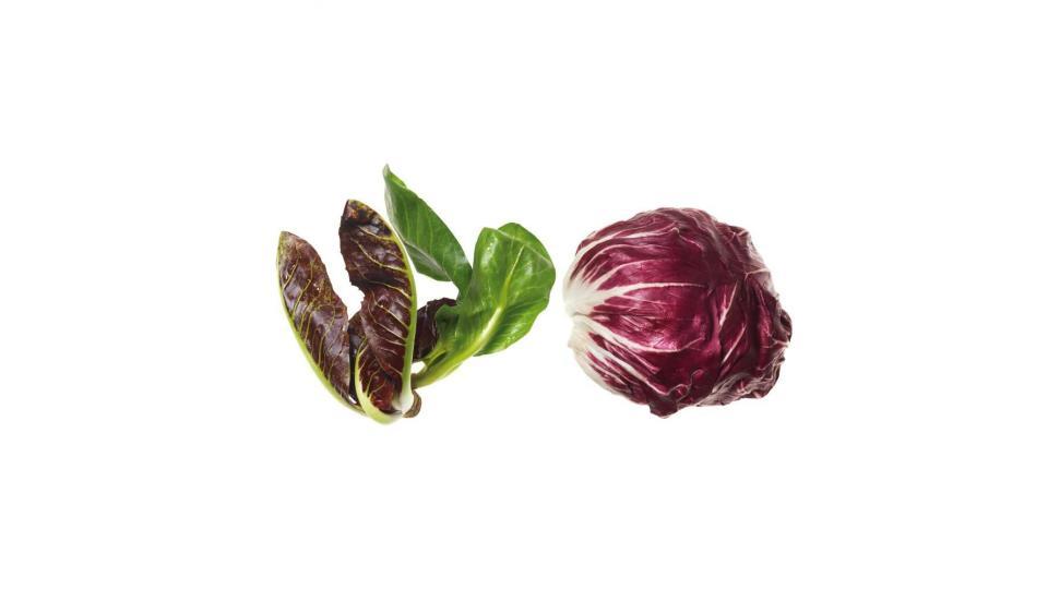 Radicchio Lungo Precoce