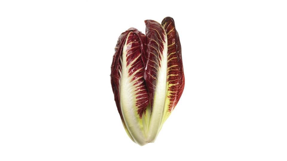 Radicchio Lungo Precoce