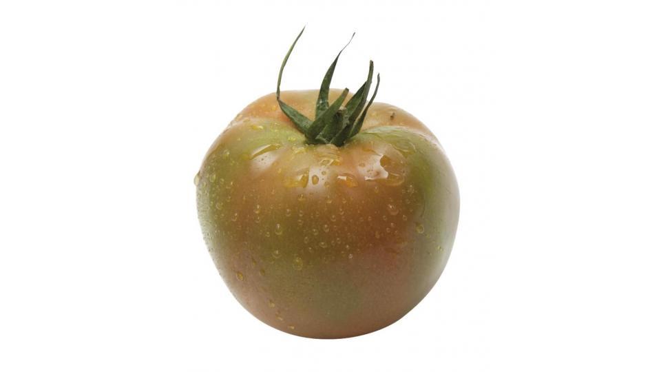 Pomodori Tondo Liscio