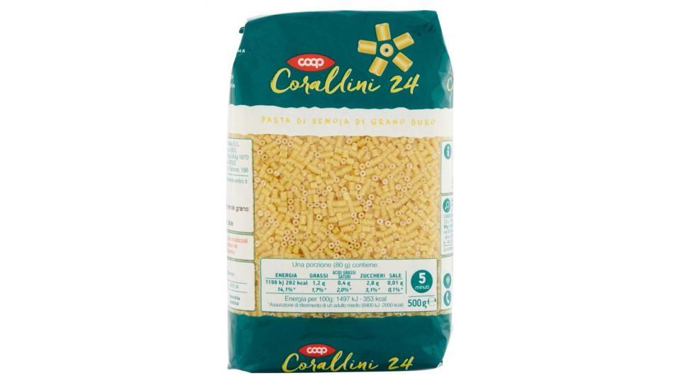 Corallini 24