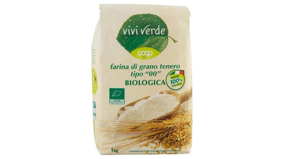 Farina Di Grano Tenero Tipo "00" Biologica