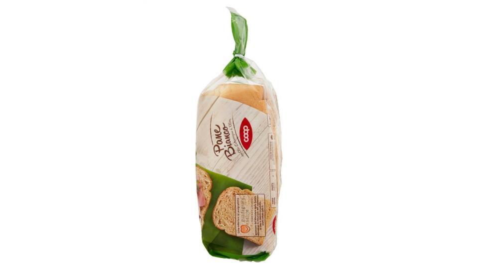 Pane Bianco Con Olio Extra Vergine D'oliva