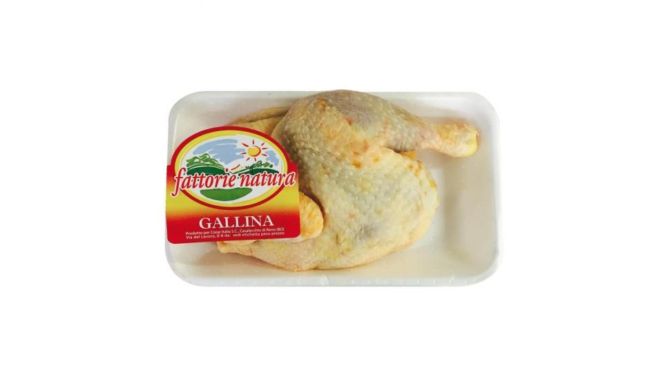 Gallina A Metà 500 G Ca