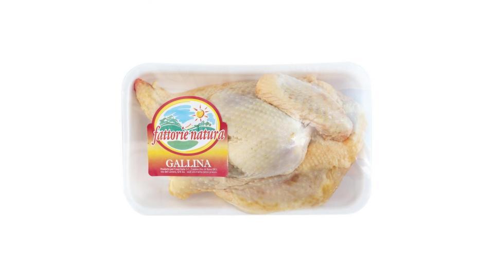 Gallina A Quarti 300 G Ca