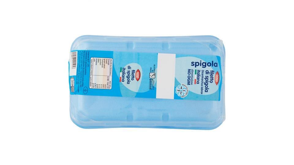 Filetto Di Spigola Dicentrarchus Labrax Italiana