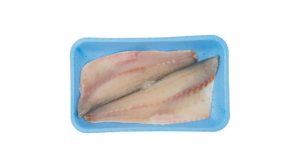 Filetto Di Spigola Dicentrarchus Labrax Italiana