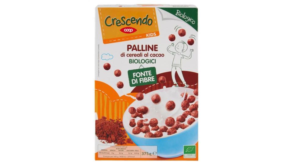 Kids Palline Di Cereali Al Cacao Biologici