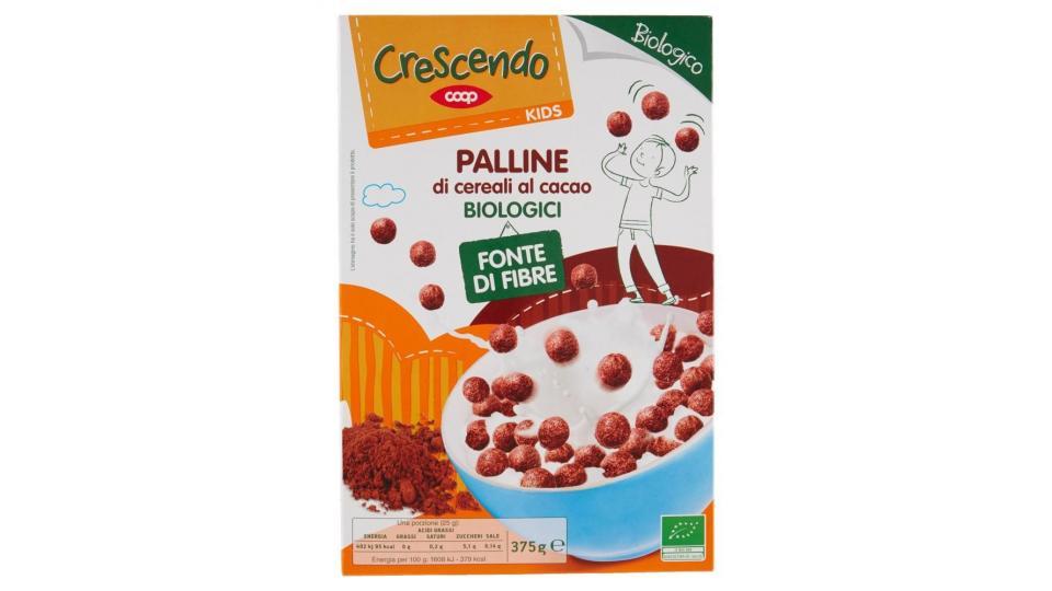 Kids Palline Di Cereali Al Cacao Biologici