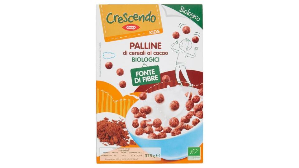 Kids Palline Di Cereali Al Cacao Biologici