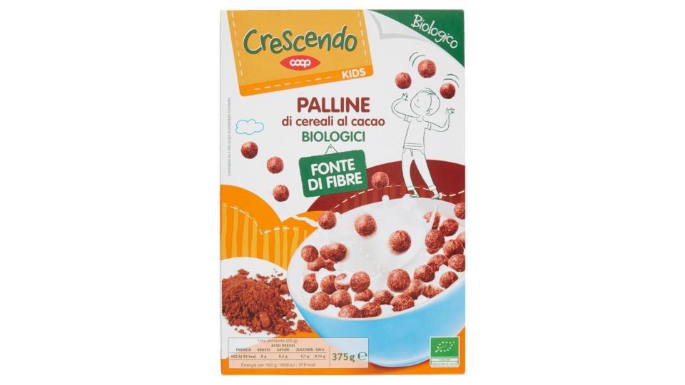 Kids Palline Di Cereali Al Cacao Biologici