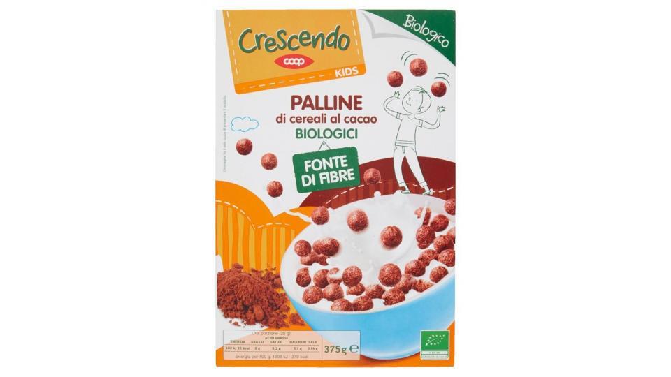 Kids Palline Di Cereali Al Cacao Biologici