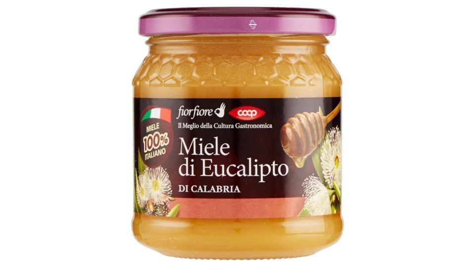 Miele Di Eucalipto Di Calabria