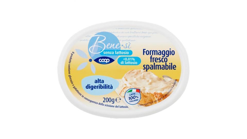 Senza Lattosio Formaggio Fresco Spalmabile Alta Digeribilità