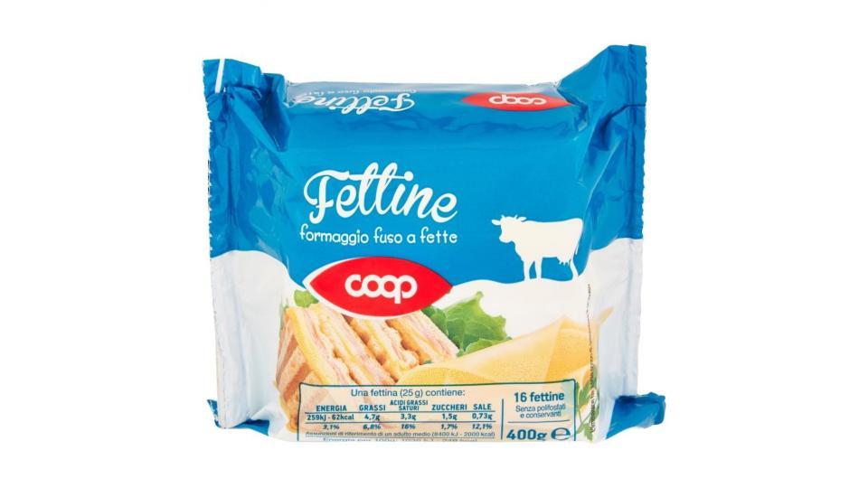 Fettine Formaggio Fuso A Fette 16 Fettine