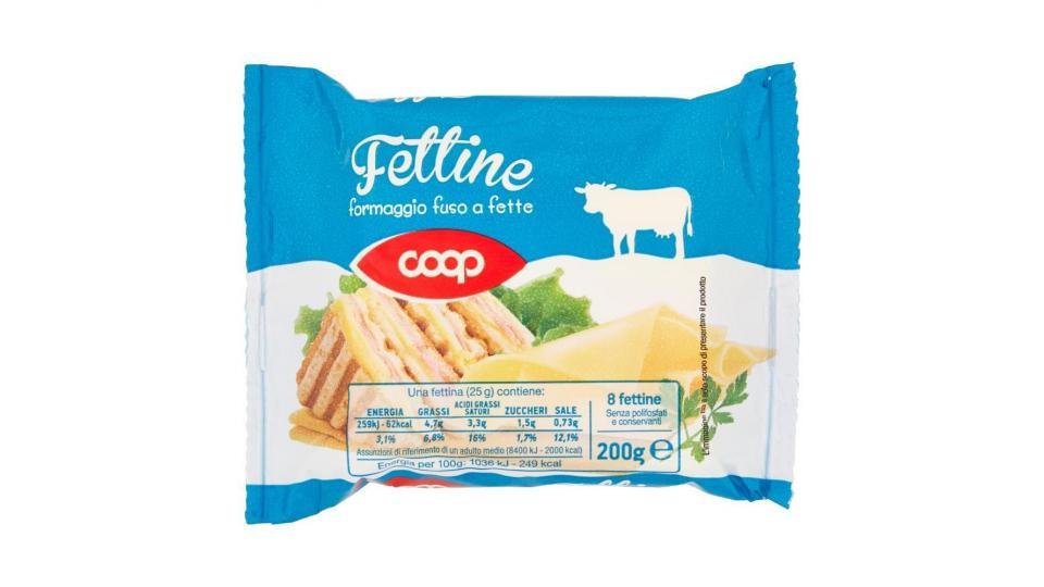 Fettine Formaggio Fuso A Fette 8 Fettine