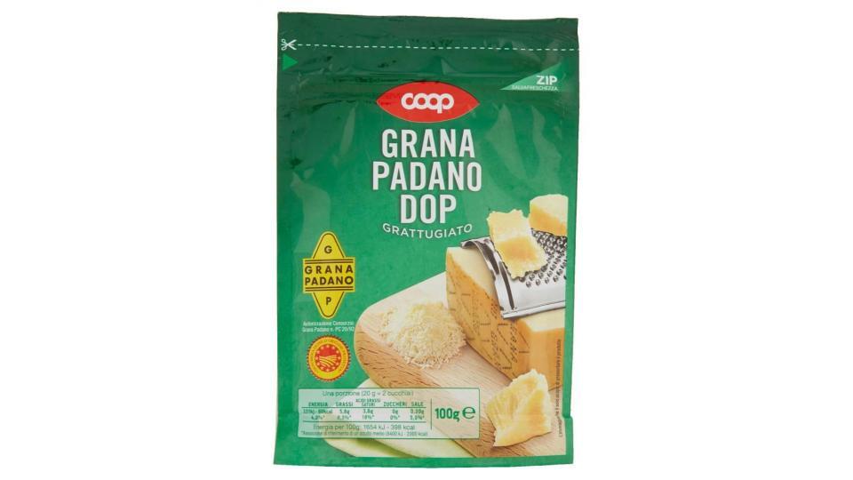 Grana Padano Dop Grattugiato