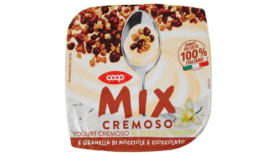 Mix Cremoso Yogurt Cremoso Al Gusto Di Vaniglia E Granella Di Nocciole E Cioccolato