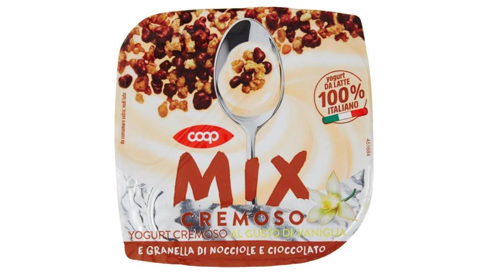 Mix Cremoso Yogurt Cremoso Al Gusto Di Vaniglia E Granella Di Nocciole E Cioccolato