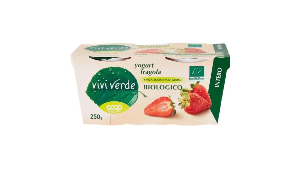 Yogurt Fragola Biologico Intero