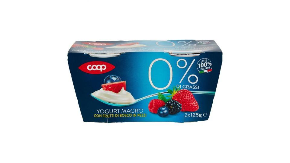 0% Di Grassi Yogurt Magro Con Frutti Di Bosco In Pezzi