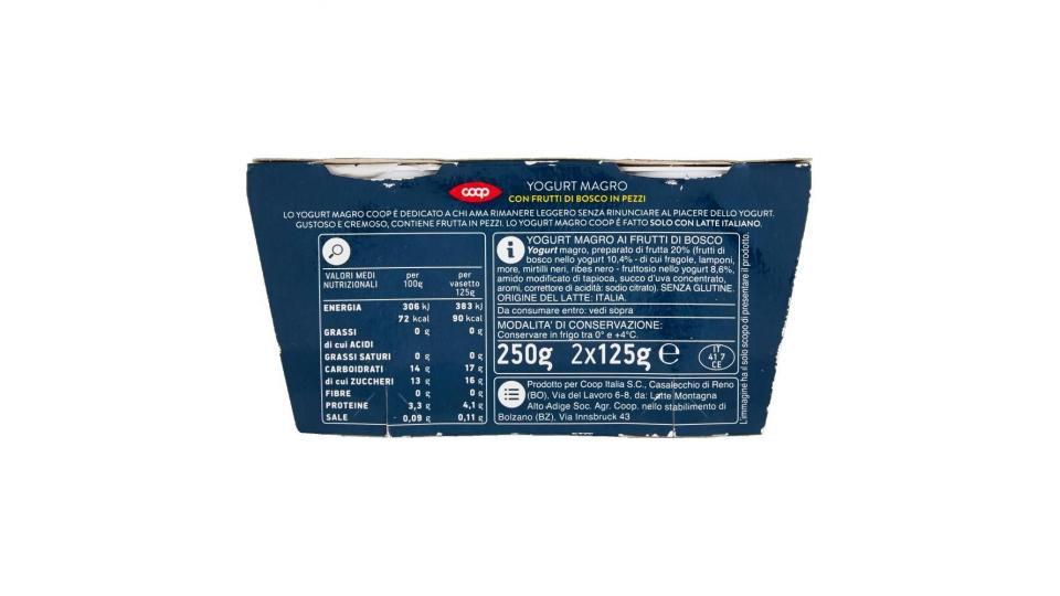 0% Di Grassi Yogurt Magro Con Frutti Di Bosco In Pezzi