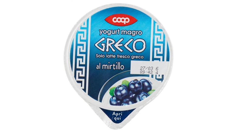 Yogurt Magro Greco Al Mirtillo