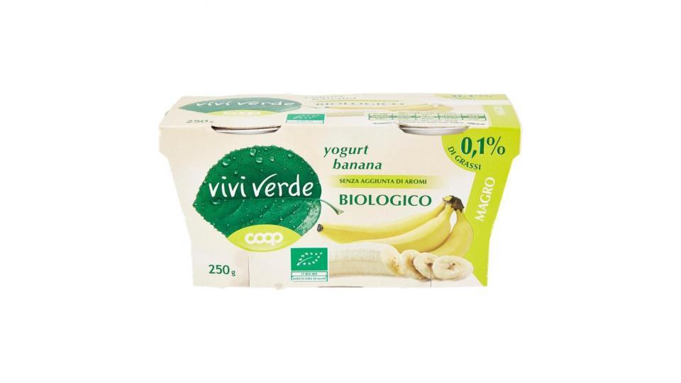 Yogurt Banana Biologico Magro