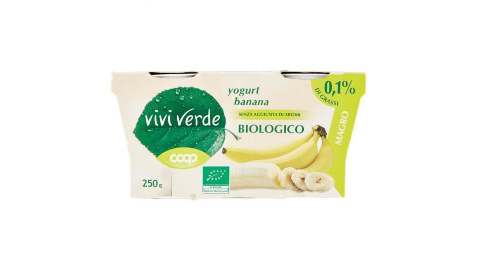 Yogurt Banana Biologico Magro