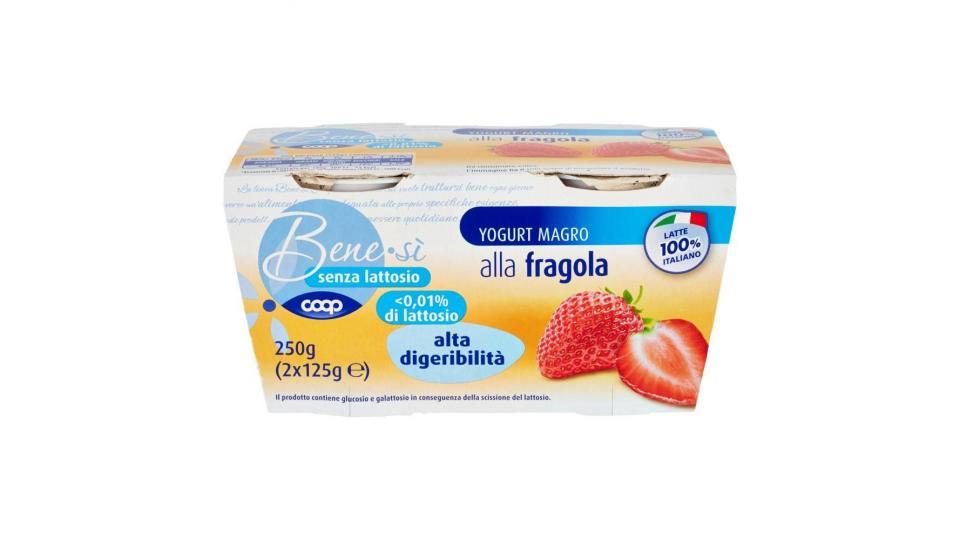 Senza Lattosio Yogurt Magro Alla Fragola Alta Digeribilità