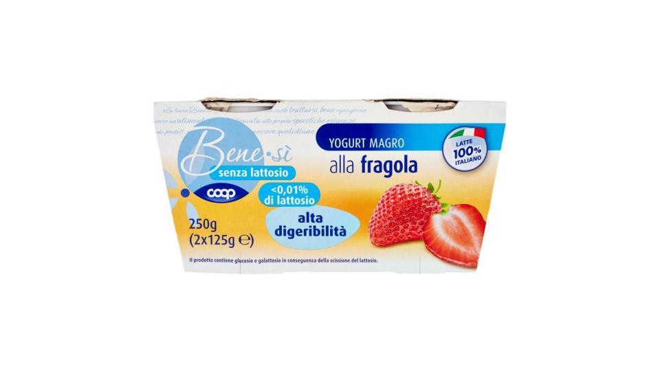 Senza Lattosio Yogurt Magro Alla Fragola Alta Digeribilità
