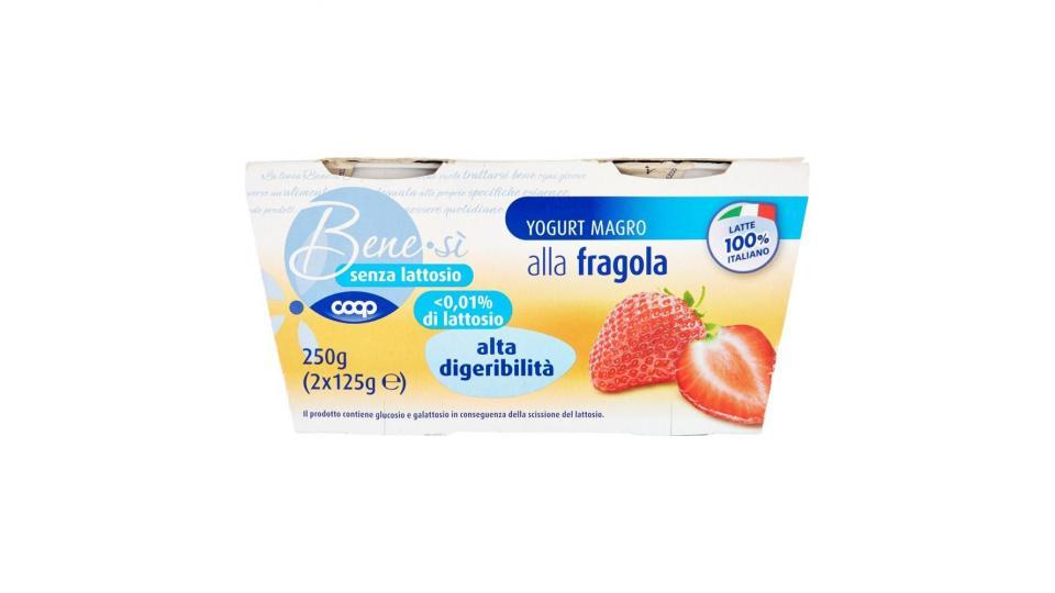Senza Lattosio Yogurt Magro Alla Fragola Alta Digeribilità