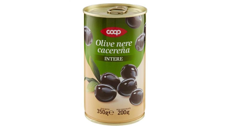 Olive Nere Cacereña Intere