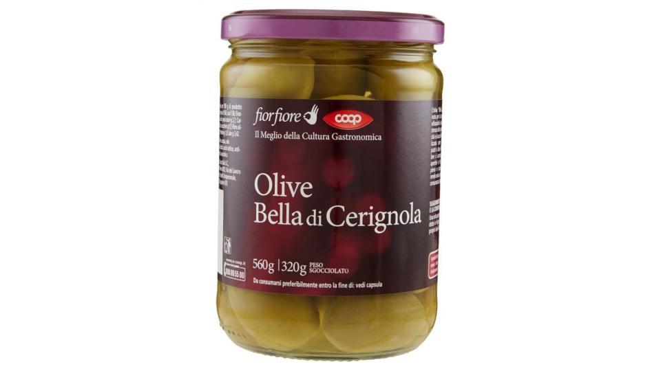 Satos olive bella cerignola