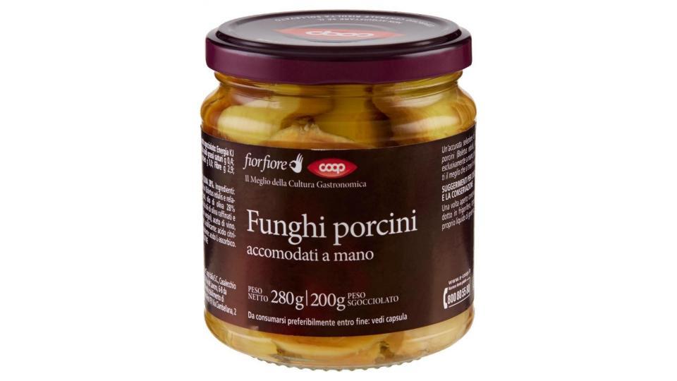 Funghi Porcini Accomodati A Mano