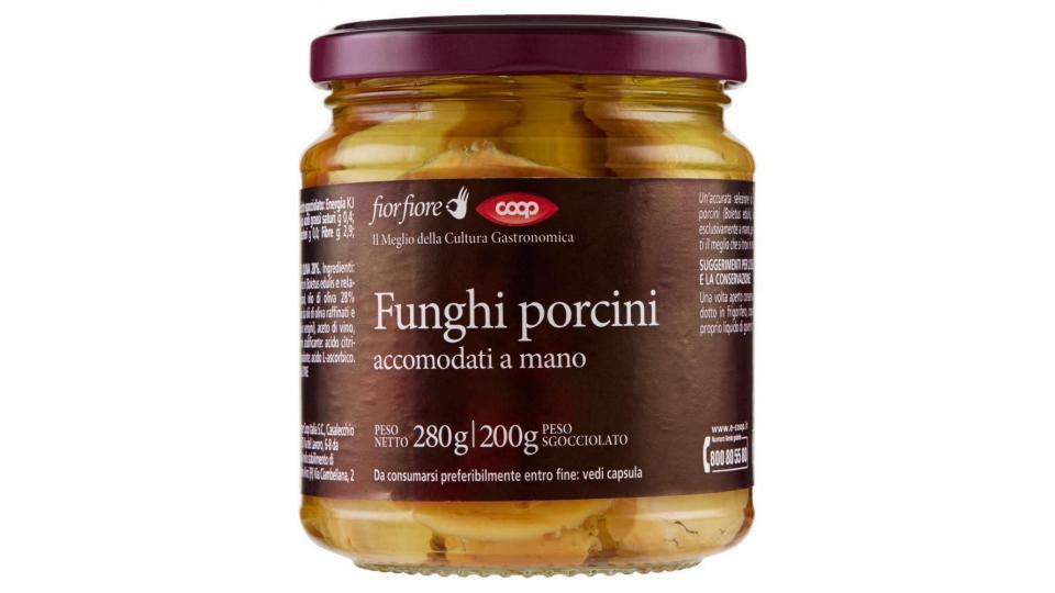 Funghi Porcini Accomodati A Mano