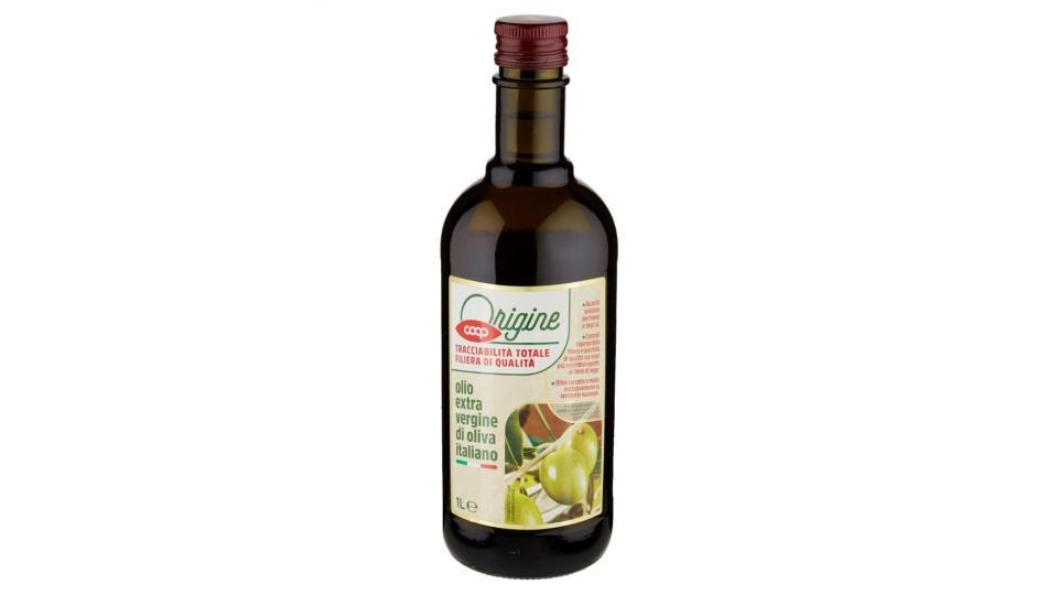 Viander friarielli in olio extra vergine d'oliva latta