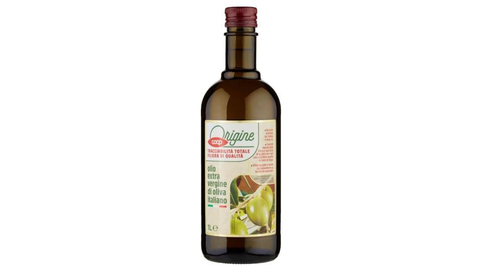 Viander friarielli in olio extra vergine d'oliva latta