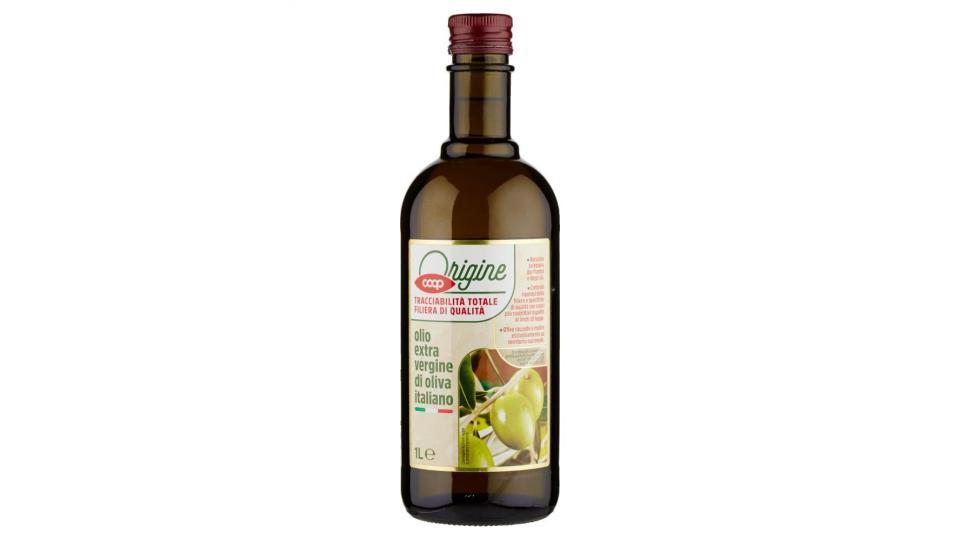 Viander friarielli in olio extra vergine d'oliva latta