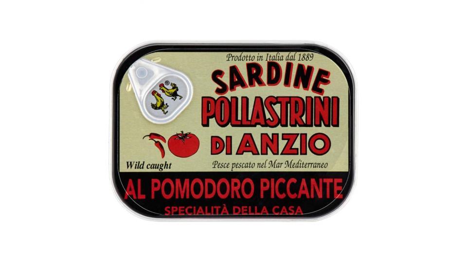 Pollastrini Di Anzio Sardine Al Pomodoro Piccante