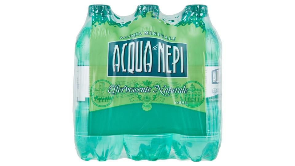 Acqua Di Nepi Acqua Minerale Effervescente Naturale Pet 6 X