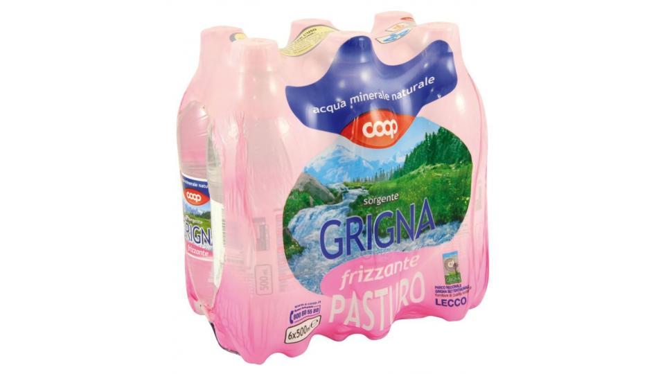 Acqua Frizzante 6x0,5l