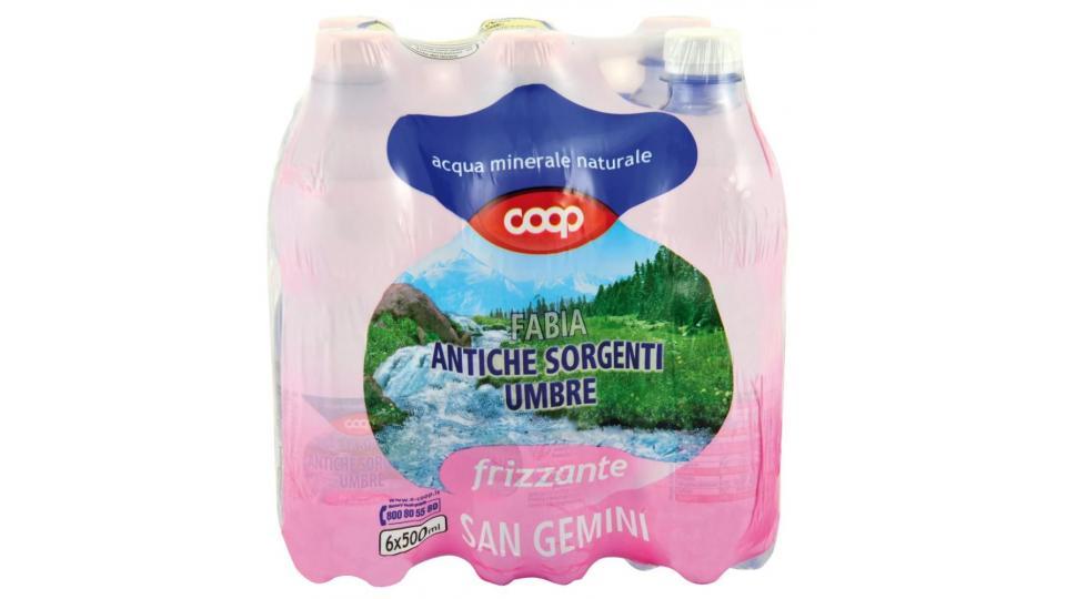 Acqua Frizzante 6x0,5l