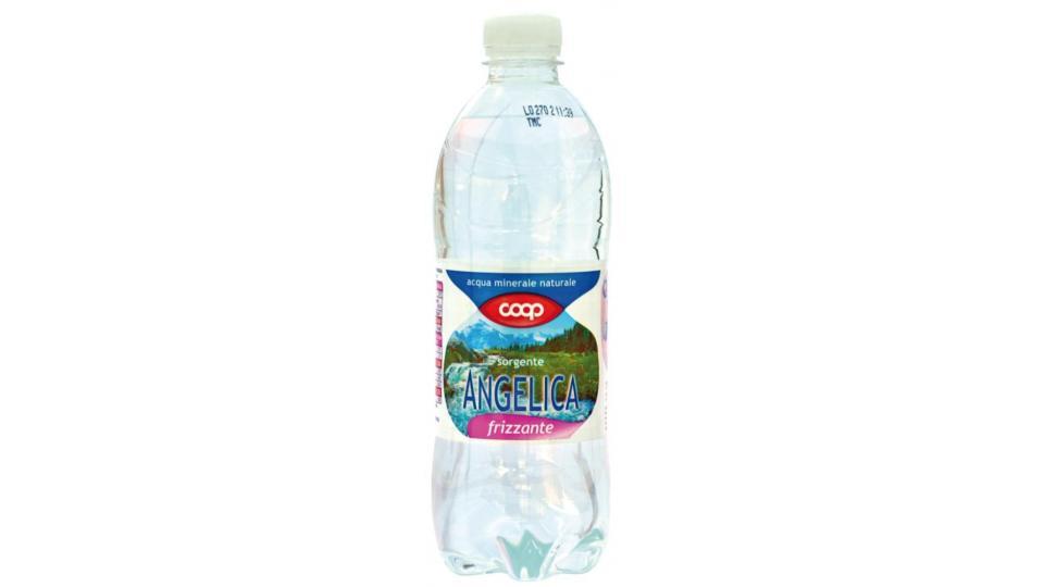 Acqua Frizzante 6x0,5l