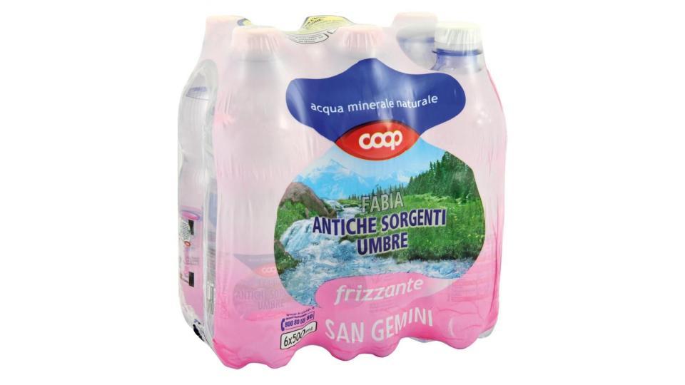 Acqua Frizzante 6x0,5l