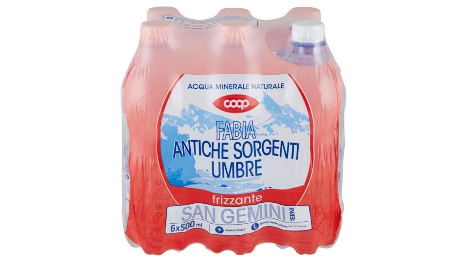 Acqua Frizzante 6x0,5l