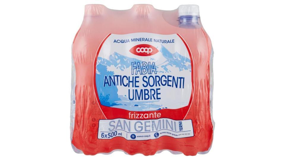 Acqua Frizzante 6x0,5l