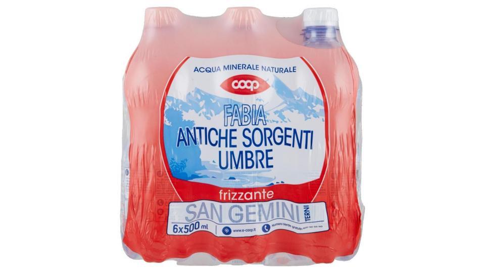 Acqua Frizzante 6x0,5l