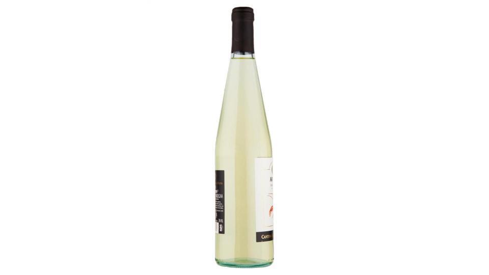 Cantina Santa Maria La Palma Aragosta Vermentino Di Sardegna Doc